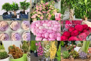 Forăria Nature Flowers din Iași, membră în Asociația Antreprenorilor din Domeniul Floristic din România